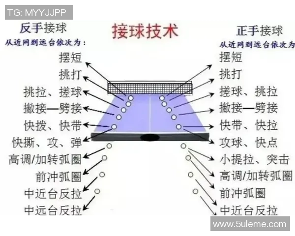 乒乓球运动的起源与发展探索：从娱乐到竞技的转变与全球影响