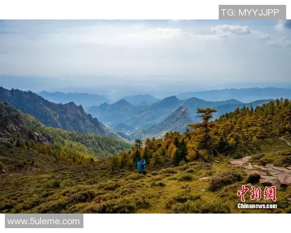 实时掌握全球热门赛事动态畅享权威电竞比分数据资讯平台