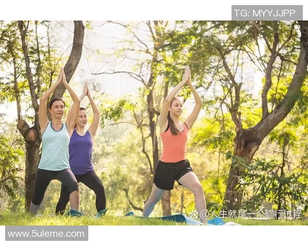 探讨体育运动对身心健康与社会活力全面促进作用的新发展视角