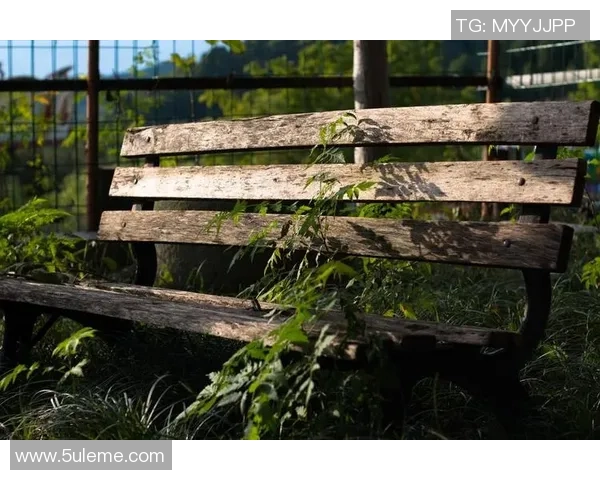 提升力量与塑形的科学方法全面解析健身爱好者必备指南