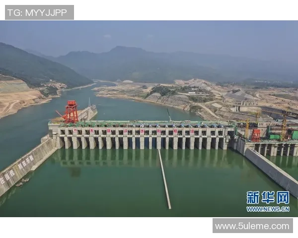 解读跳水运动中的技巧训练与心理调适全面提升竞技表现综合能力的